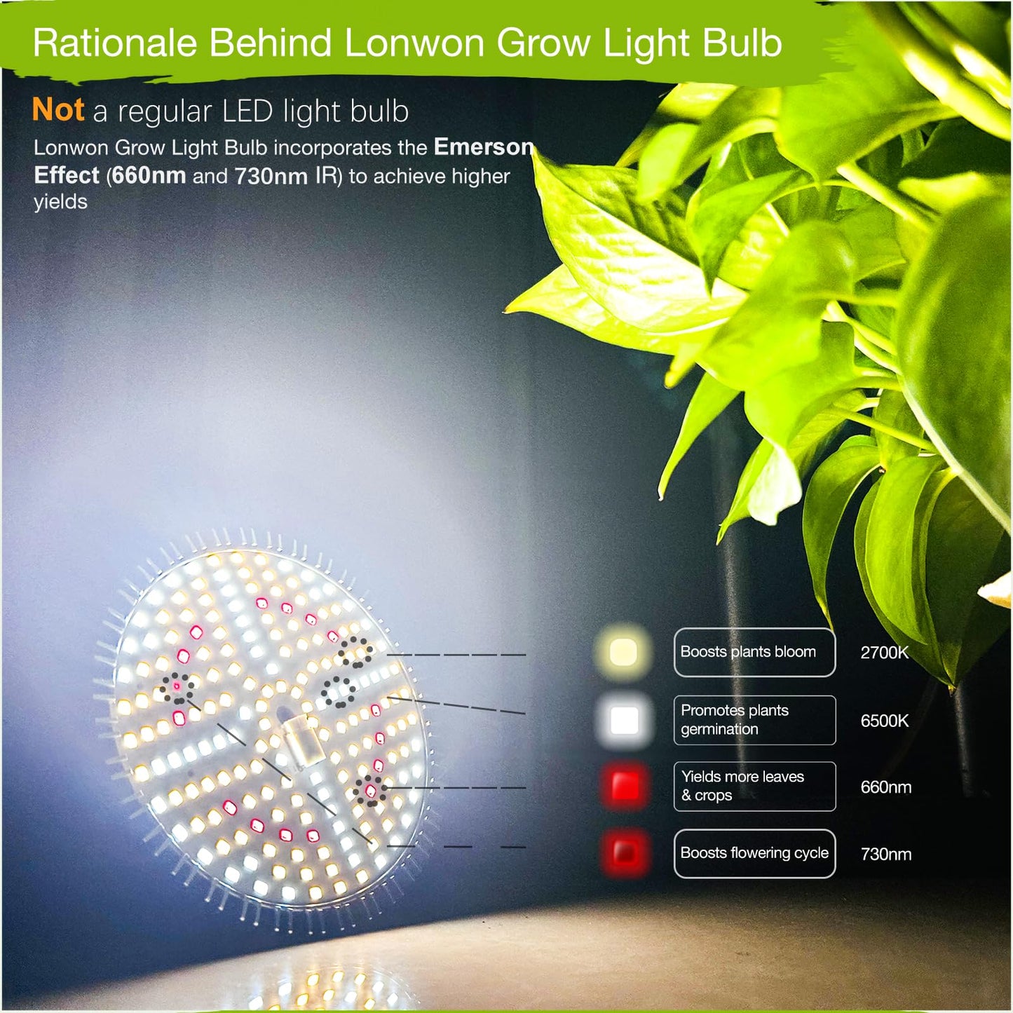 Lonwon Grow Light Bulbs 30W, LED Grow Light Bulb PAR38 Bulb, E26 Plant Light Bulb Full Spectrum, 4000K Warm Grow Bulb 320W Equivalent, Grow Light for Indoor Plants, Flowers, Regular Lamp, 1Pack