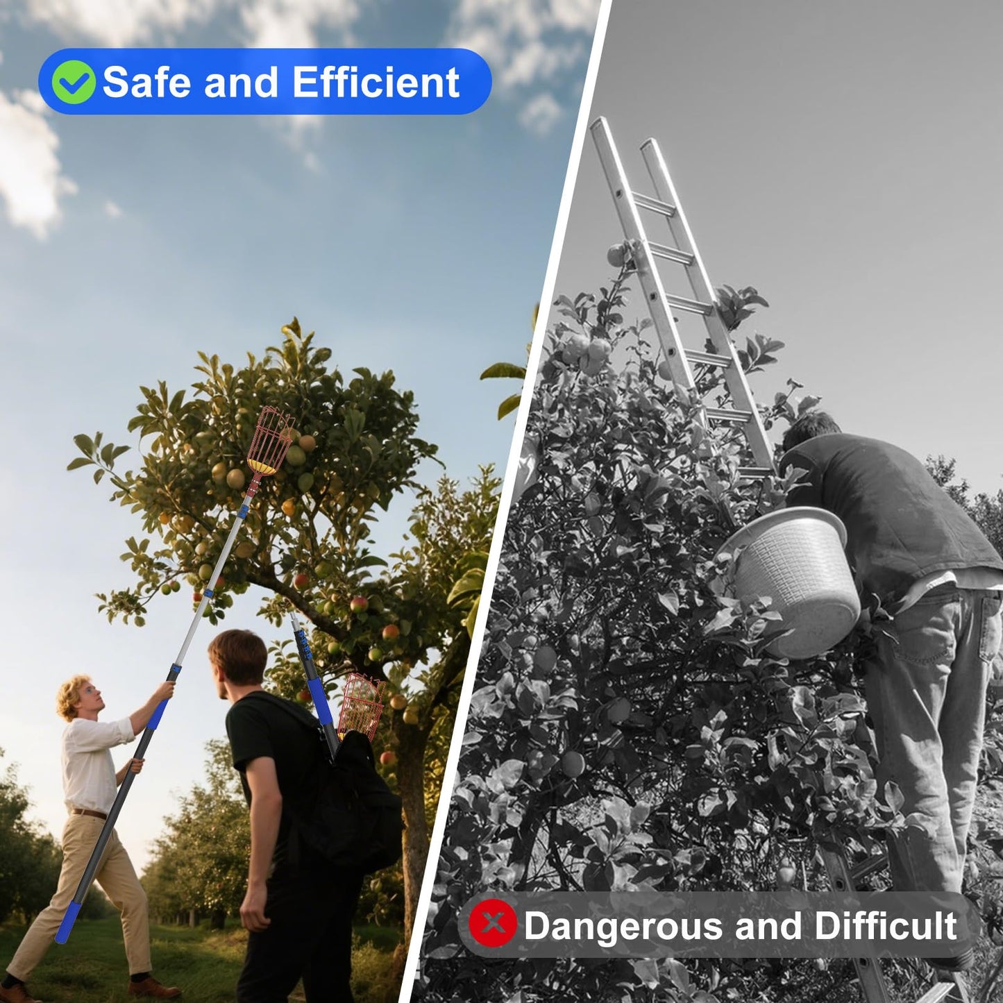 Karveden 26FT Reach Fruit Picker Pole with Basket Telescoping, 5-20FT Extendable Aluminum Apple Picker for Picking Avocados, Figs, Mangoes, Citrus Fruits - Durable Harvesting Fruit Catcher for Trees