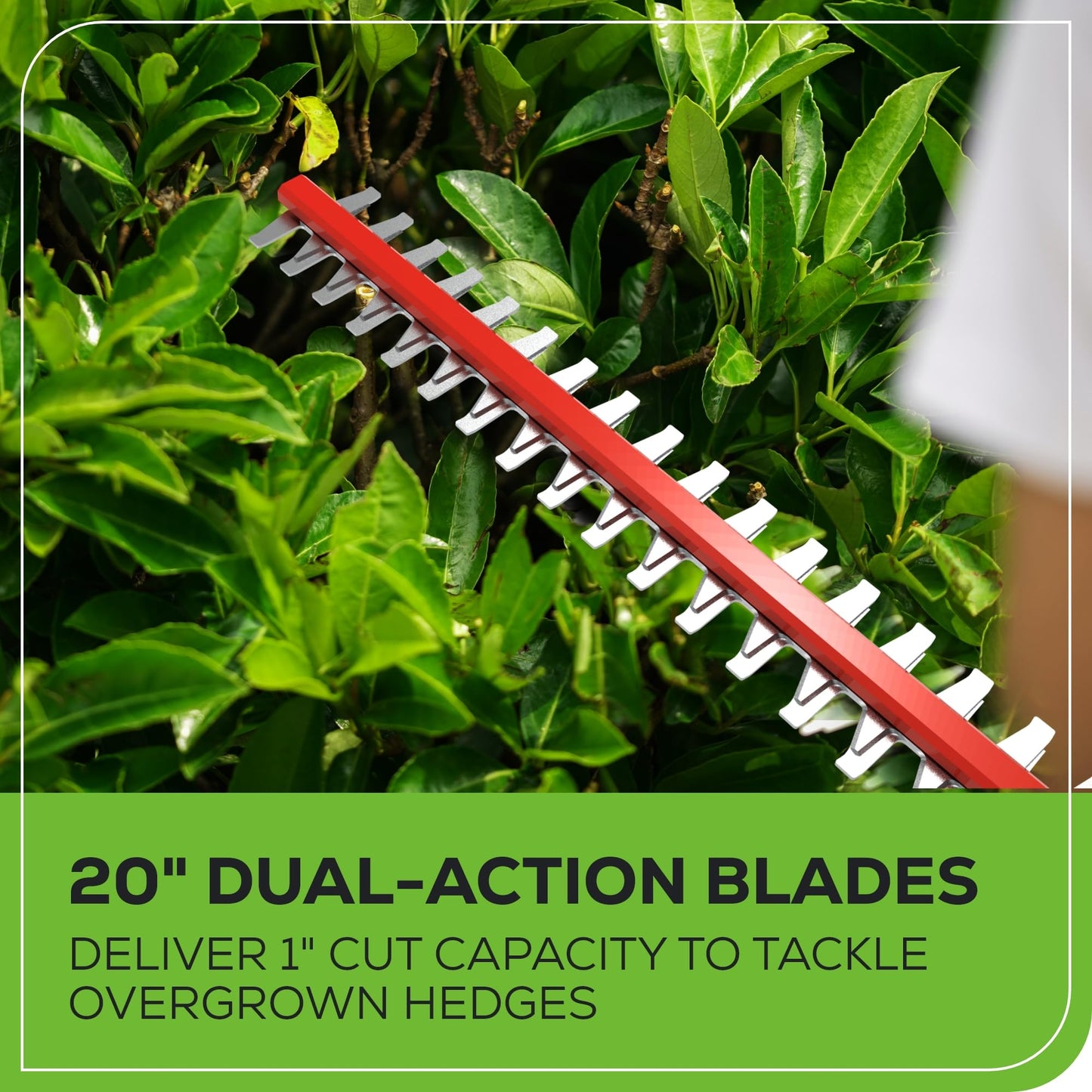 Greenworks 40V 8-inch Cordless Pole Saw with Hedge Trimmer Attachment 2.0Ah Battery and Charger Included