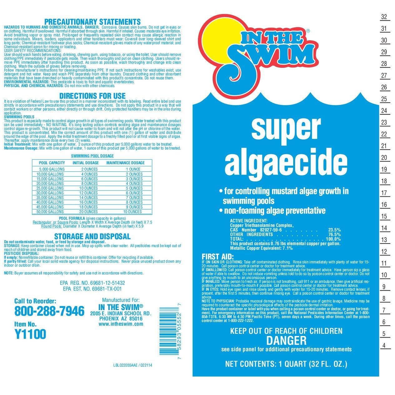 In The Swim Super Algaecide for Above Ground or Inground Swimming Pools – Low Odor, Non-Foaming Preventative for Yellow/Mustard Algae in Swimming Pools - 7.1% Chelated Copper – 1 Quart