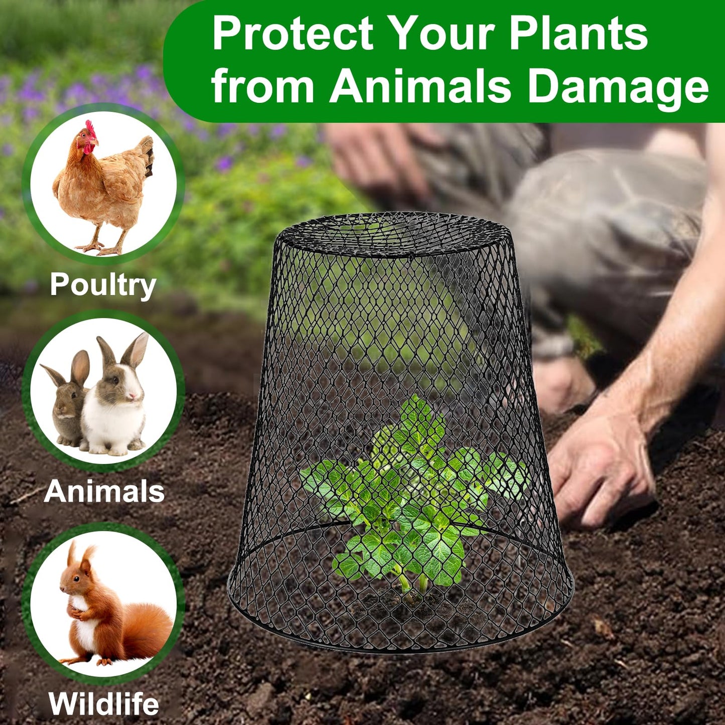 10 Pack 9.13"×9.13" Chicken Wire Cloche Plant Covers - Garden Plant Cloche Metal Heavy Duty Plant Protectors from Animals for Keeping Bunnies Chicken Squirrels Birds Other Out (10, Black)