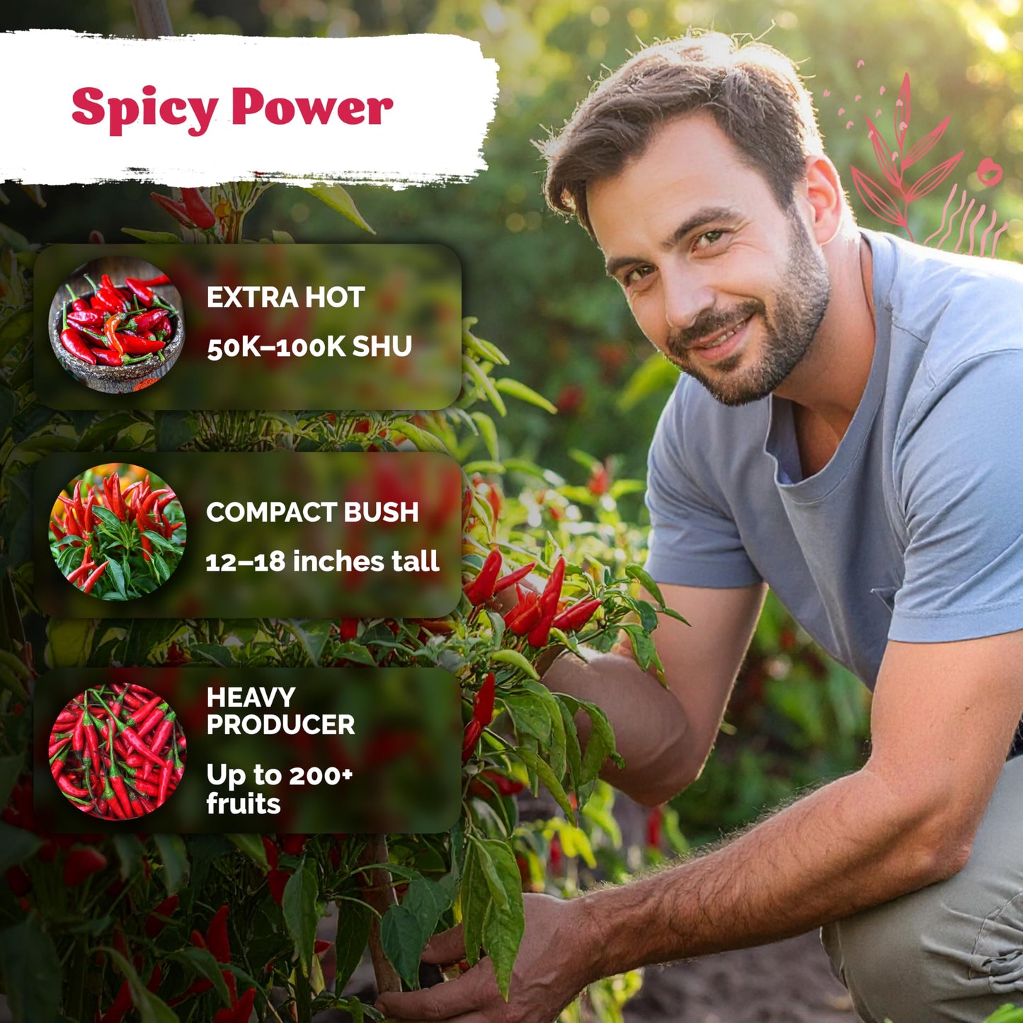 KVITER 75 Birds Eye Chili Pepper Seeds for Planting (Capsicum Annuum) — Thai Chili Red Pepper, Extra‑Hot 50K-100K SHU, High‑Yield Bush — Heirloom Vegetable Seeds for Outdoor & Indoor Garden