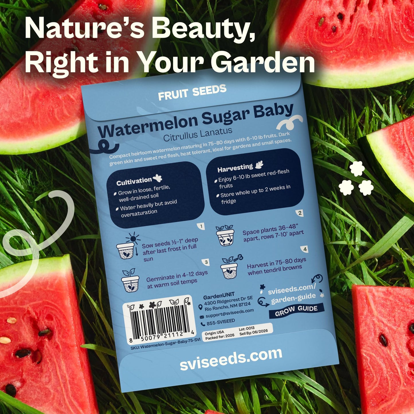 SVI 75 Sugar Baby Watermelon Seeds for Planting (Citrullus lanatus) – Sweet Watermelon, Heirloom Mini Watermelons – Fruit Seeds to Plant in Outdoor Garden & Large Containers
