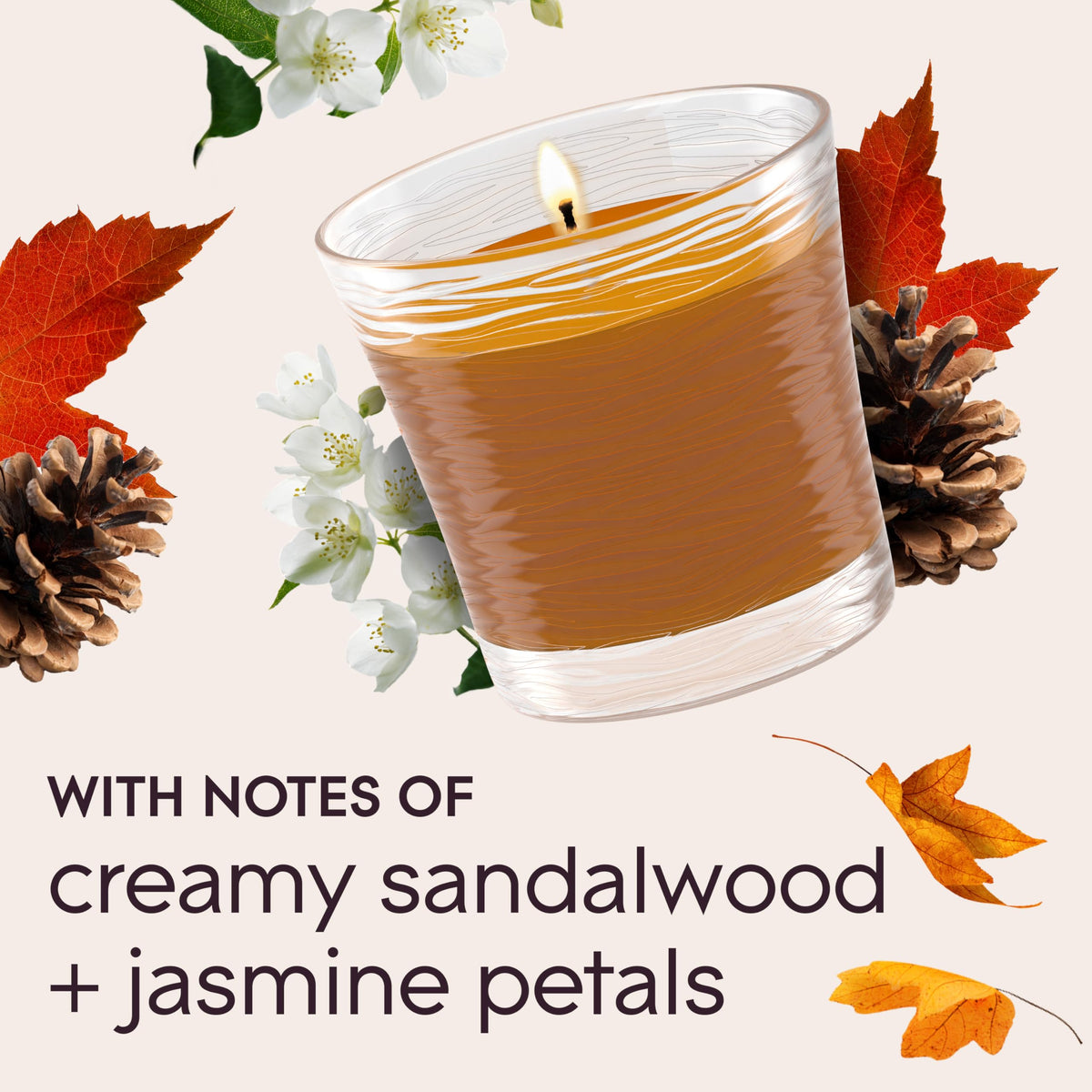 Glade 1-Wick Scented Candle Jar, Cashmere Woods, 2 Count