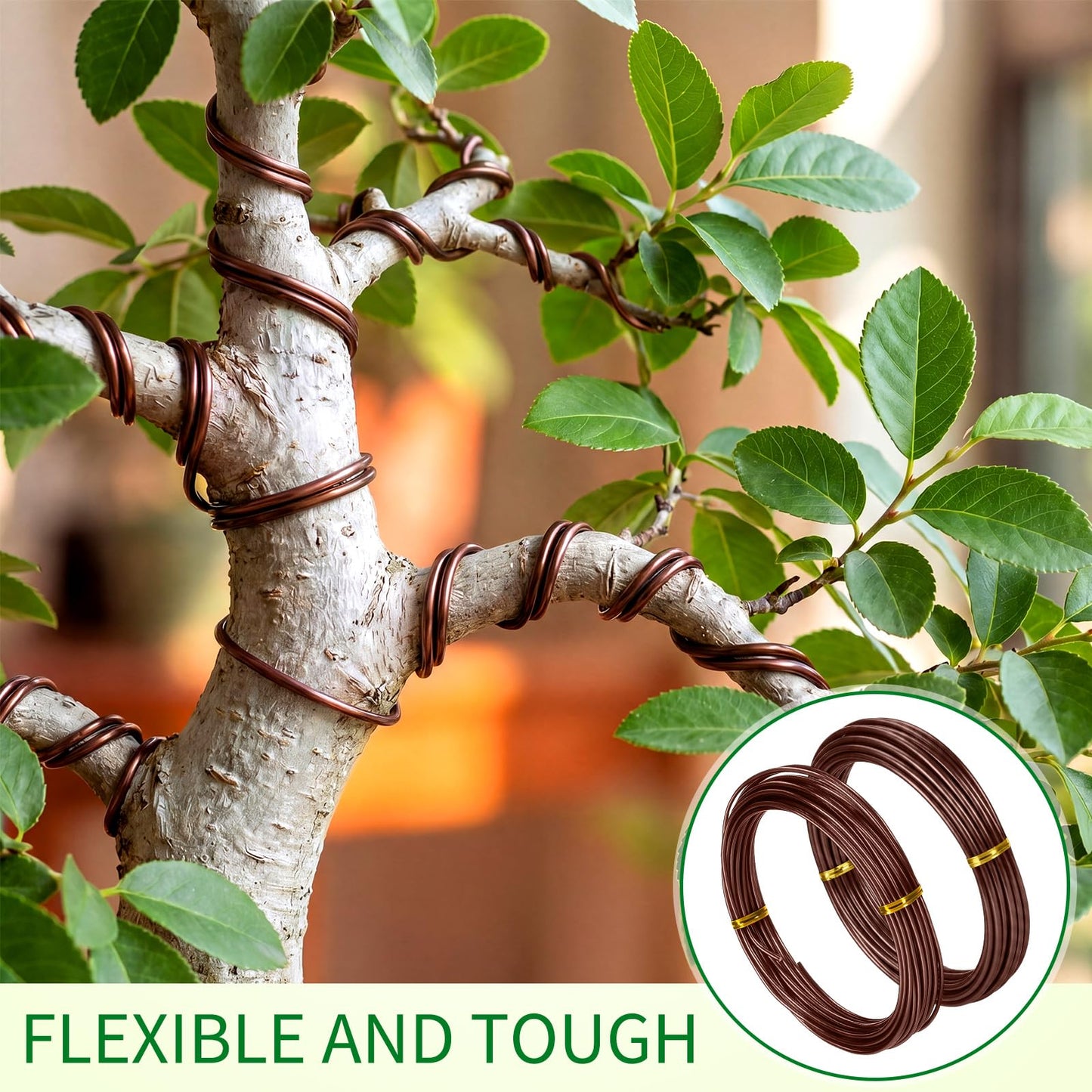 Mudder 5 Roll Aluminum Bonsai Training Wire Tree 1/1.5/2/2.5/3mm 118 Feet Total with Bonsai Wire Cutter Anodized Training for Holding Branches Small Trunks(Brown)