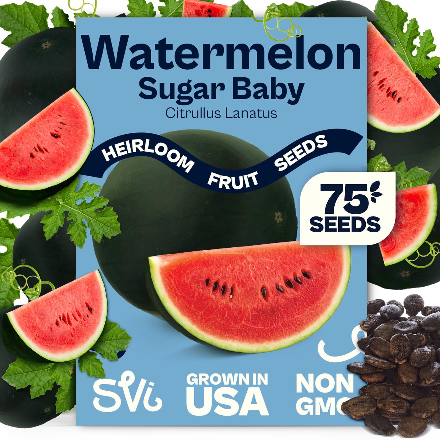 SVI 75 Sugar Baby Watermelon Seeds for Planting (Citrullus lanatus) – Sweet Watermelon, Heirloom Mini Watermelons – Fruit Seeds to Plant in Outdoor Garden & Large Containers