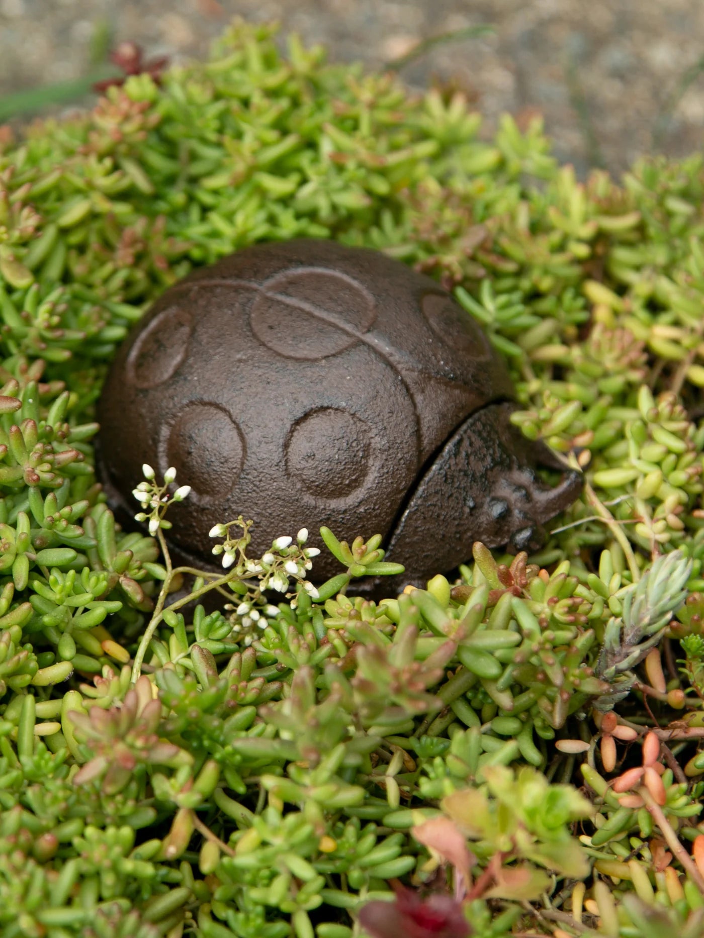 LADYBUG KEY HIDER