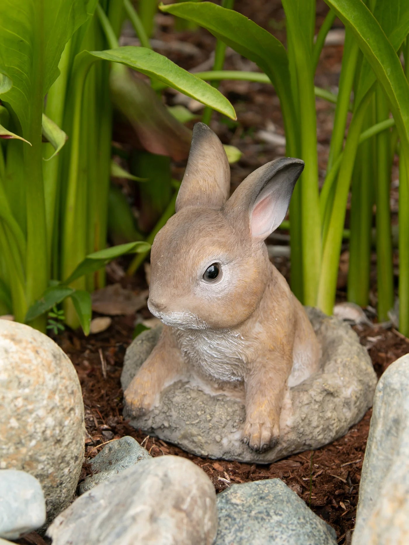 CURIOUS BUNNY GARDEN DECOR