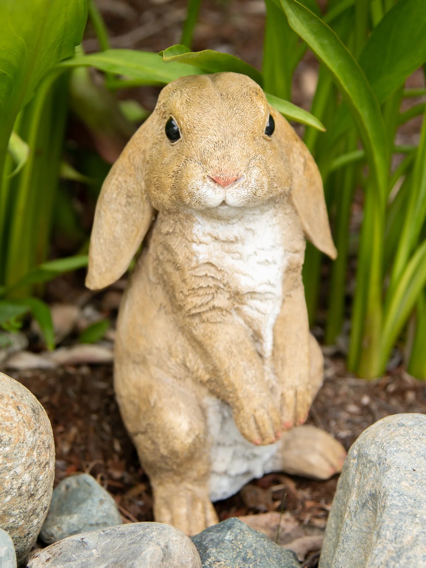 CURIOUS RABBIT GARDEN STATUE
