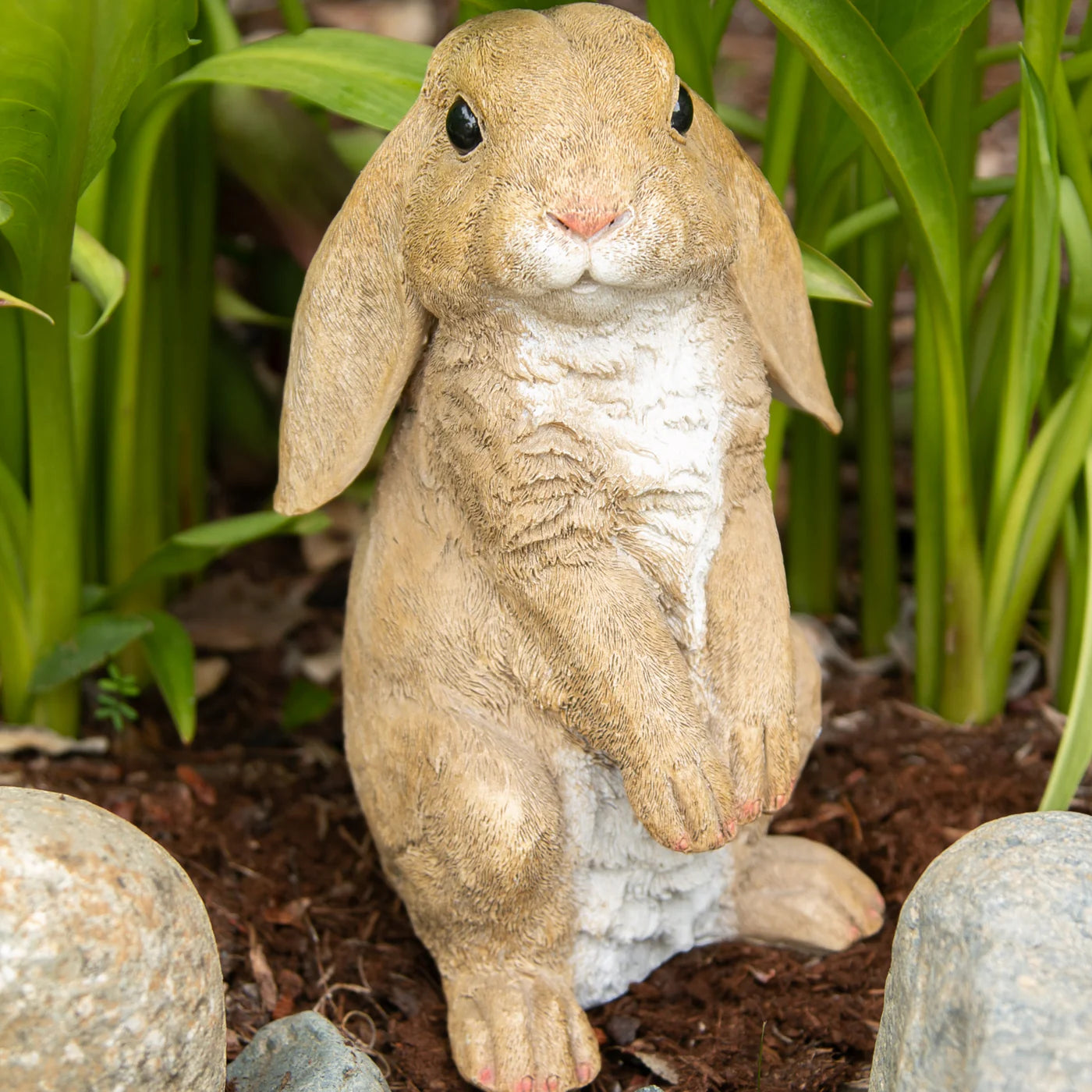 CURIOUS RABBIT GARDEN STATUE