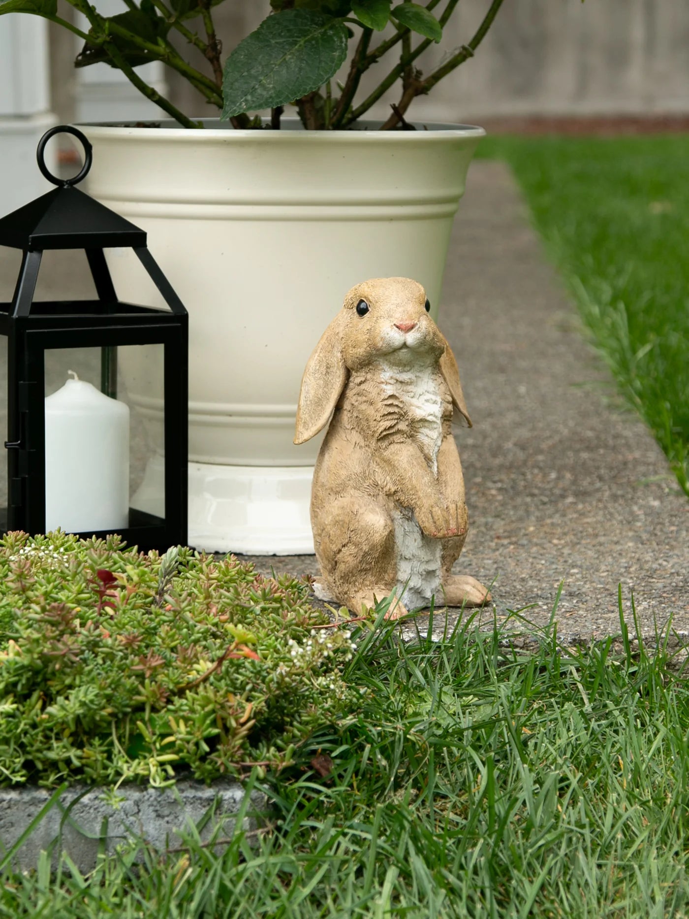 CURIOUS RABBIT GARDEN STATUE