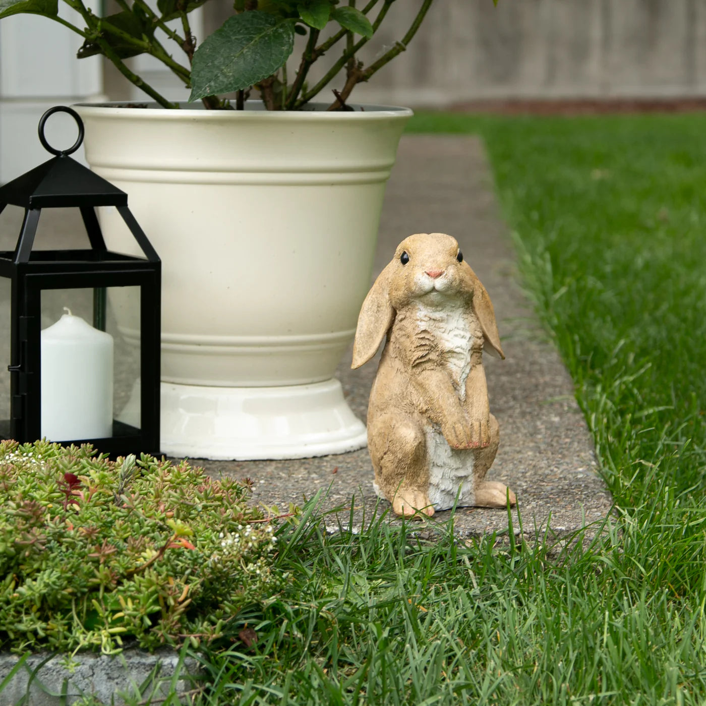 CURIOUS RABBIT GARDEN STATUE