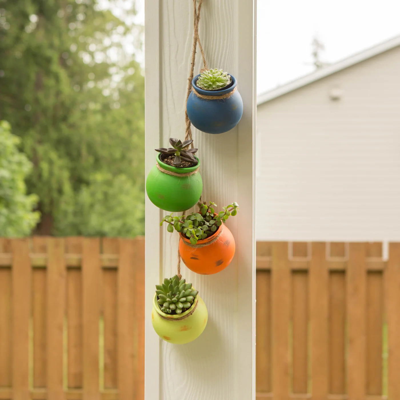 FIESTA DANGLING POTS
