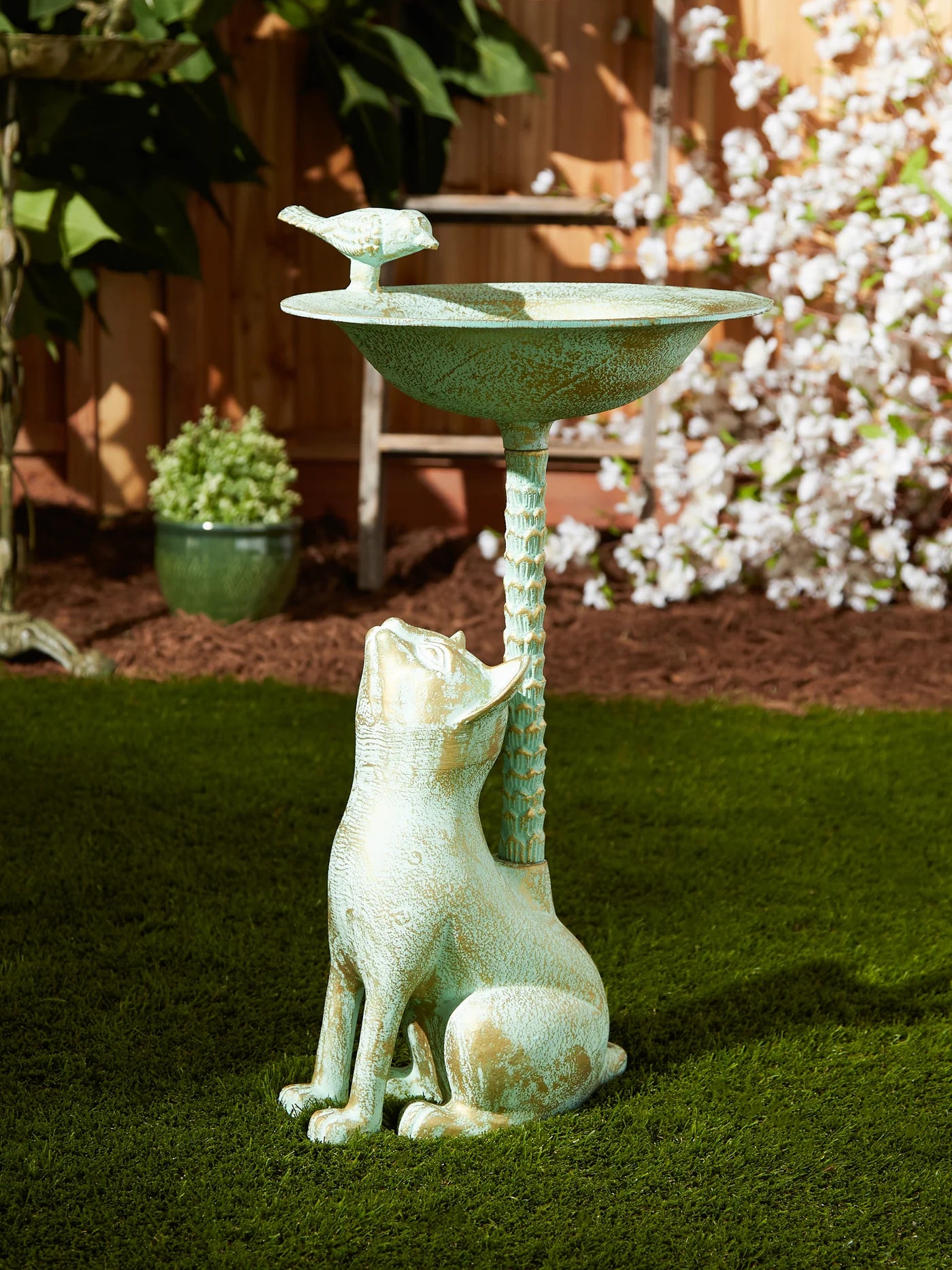 CAT BIRDBATH