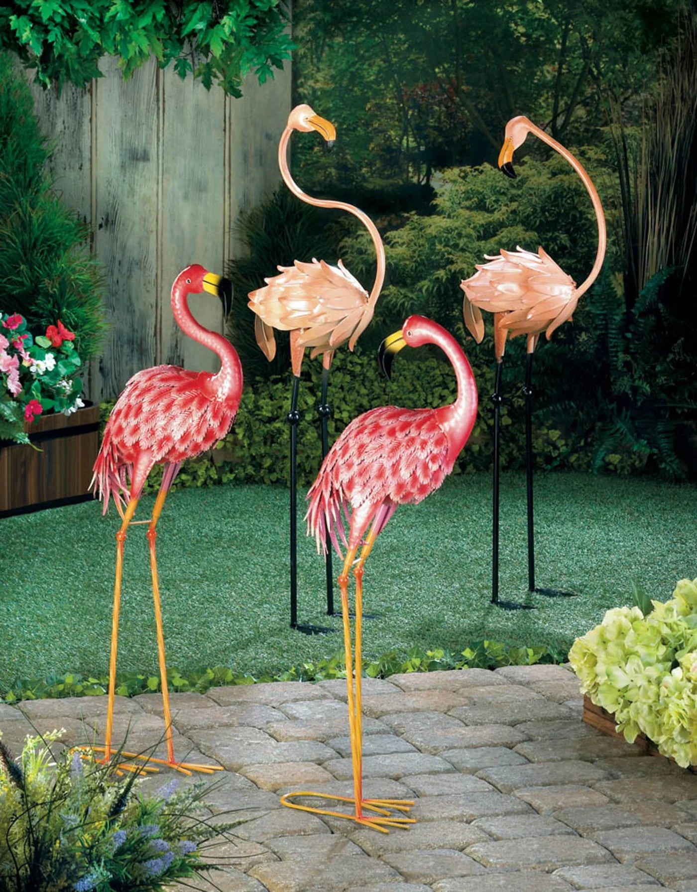 BRIGHT STANDING FLAMINGO LOOKING BACK