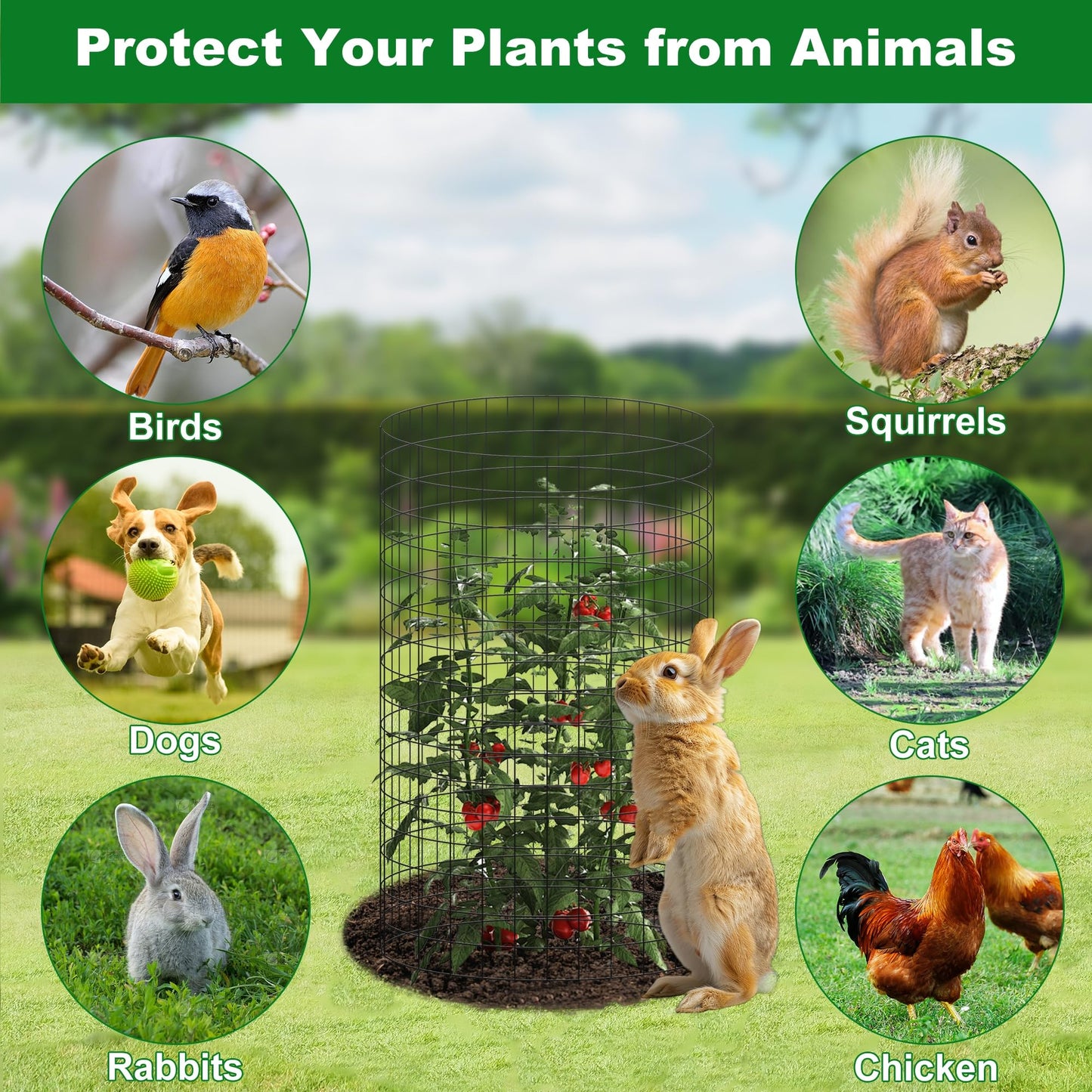 winemana 12 Set Garden Plant Protector Cage,36 Pcs 16x12 in Metal Wire Protectors for Plants Protection Cages with Stakes Ties Animals Barrier to Keep Rabbit Chicken Away from Flower Vegetables(Black)