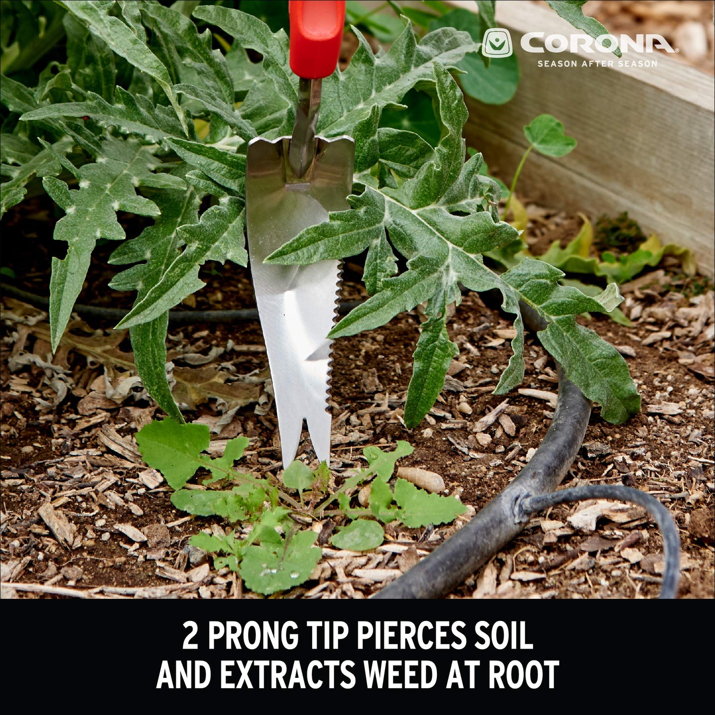 Corona CT 3354 Premium Stainless Steel ComfortGEL Weeder