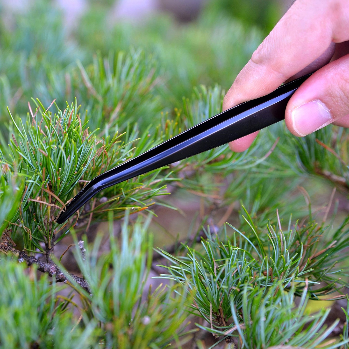 KAKURI Bonsai Tweezers Curved Serrated Tips with Spatula 8.8" - Made in Japan - Professional Bonsai Care Tool - Black Coated Japanese Stainless Steel