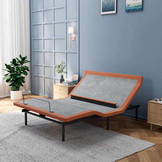 ESHINE Queen Adjustable Bed Frame with Lumbar Support Smart App