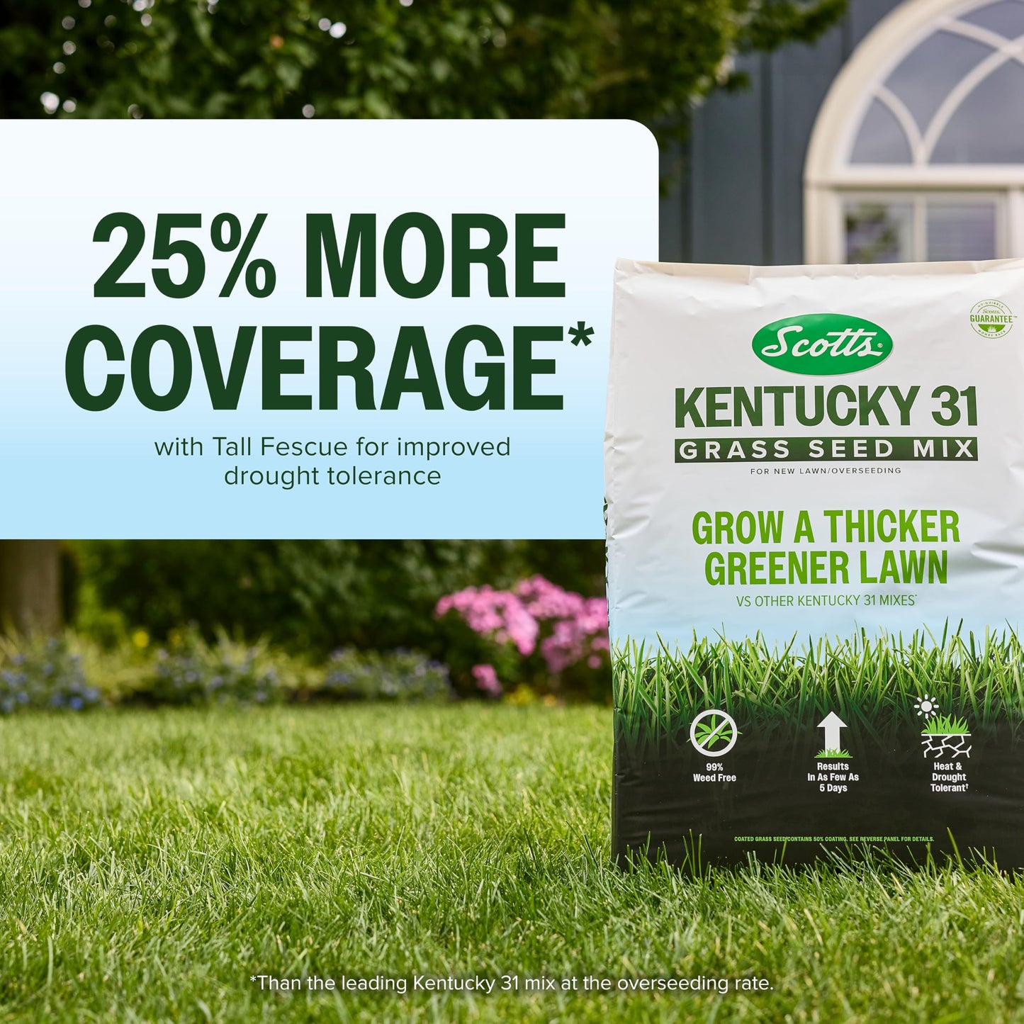 Scotts Kentucky 31 Grass Seed Mix, 7 lbs.