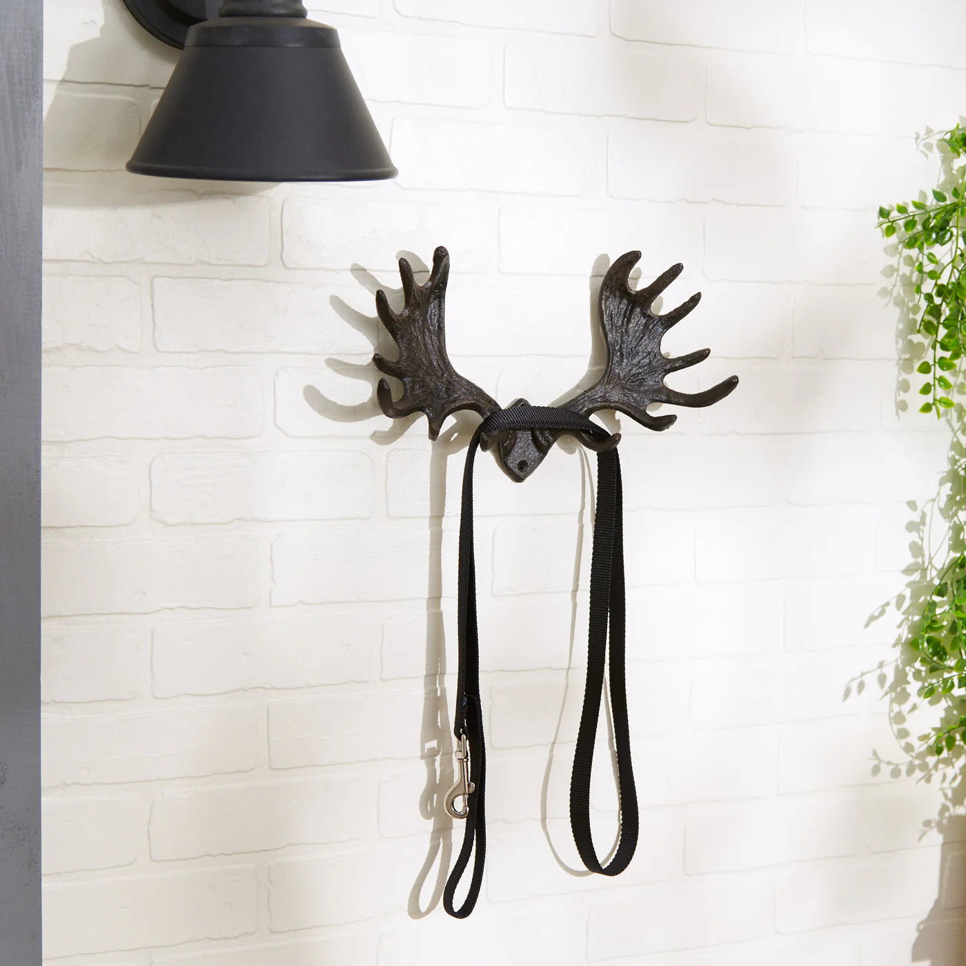 MOOSE ANTLER WALL HOOK