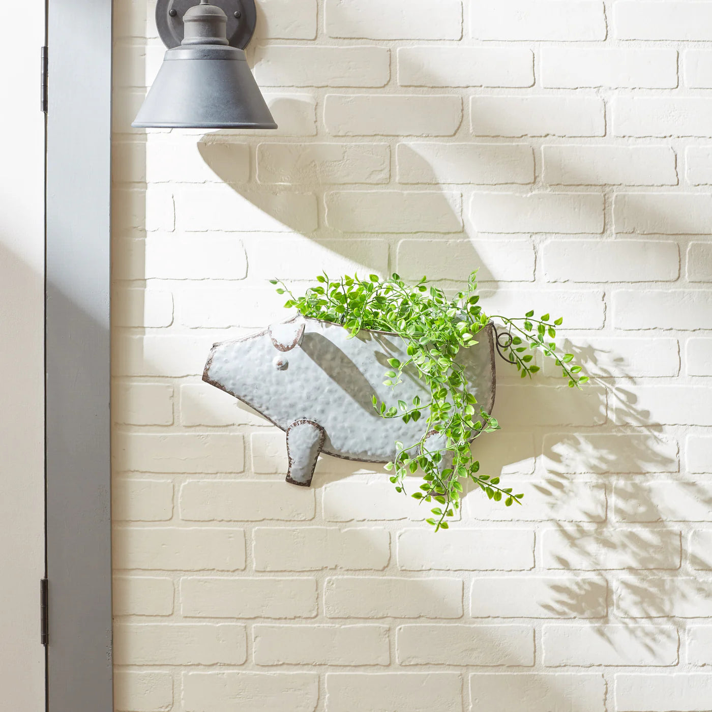 PIG GALVANIZED WALL PLANTER